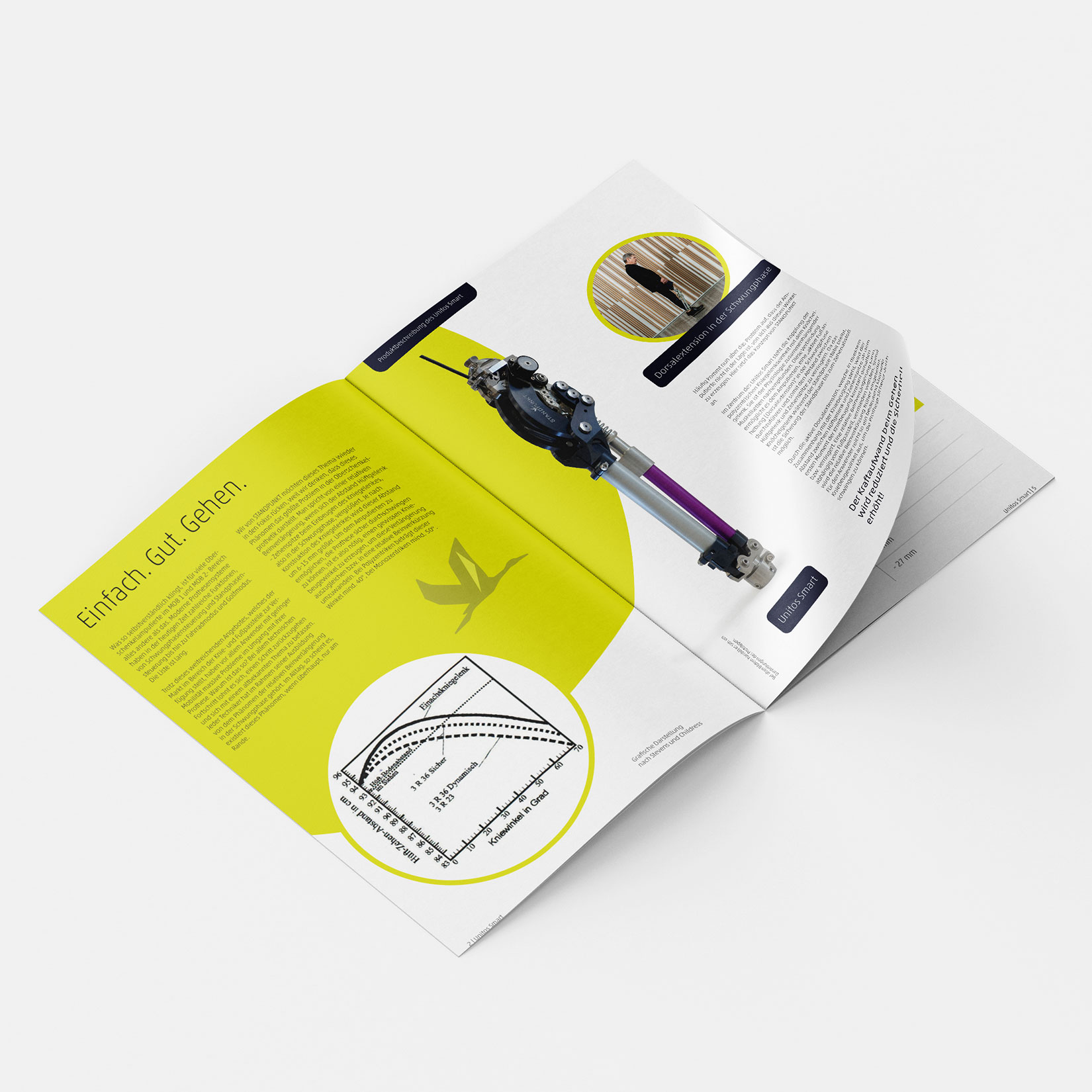 Broschürendesign Standpunkt