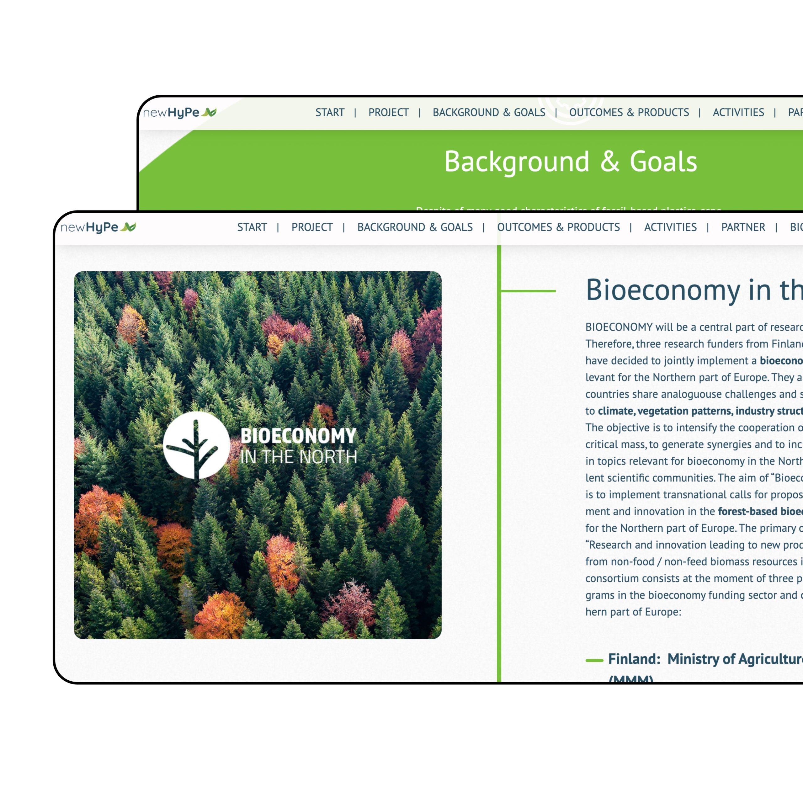 Webdesign Newhype
