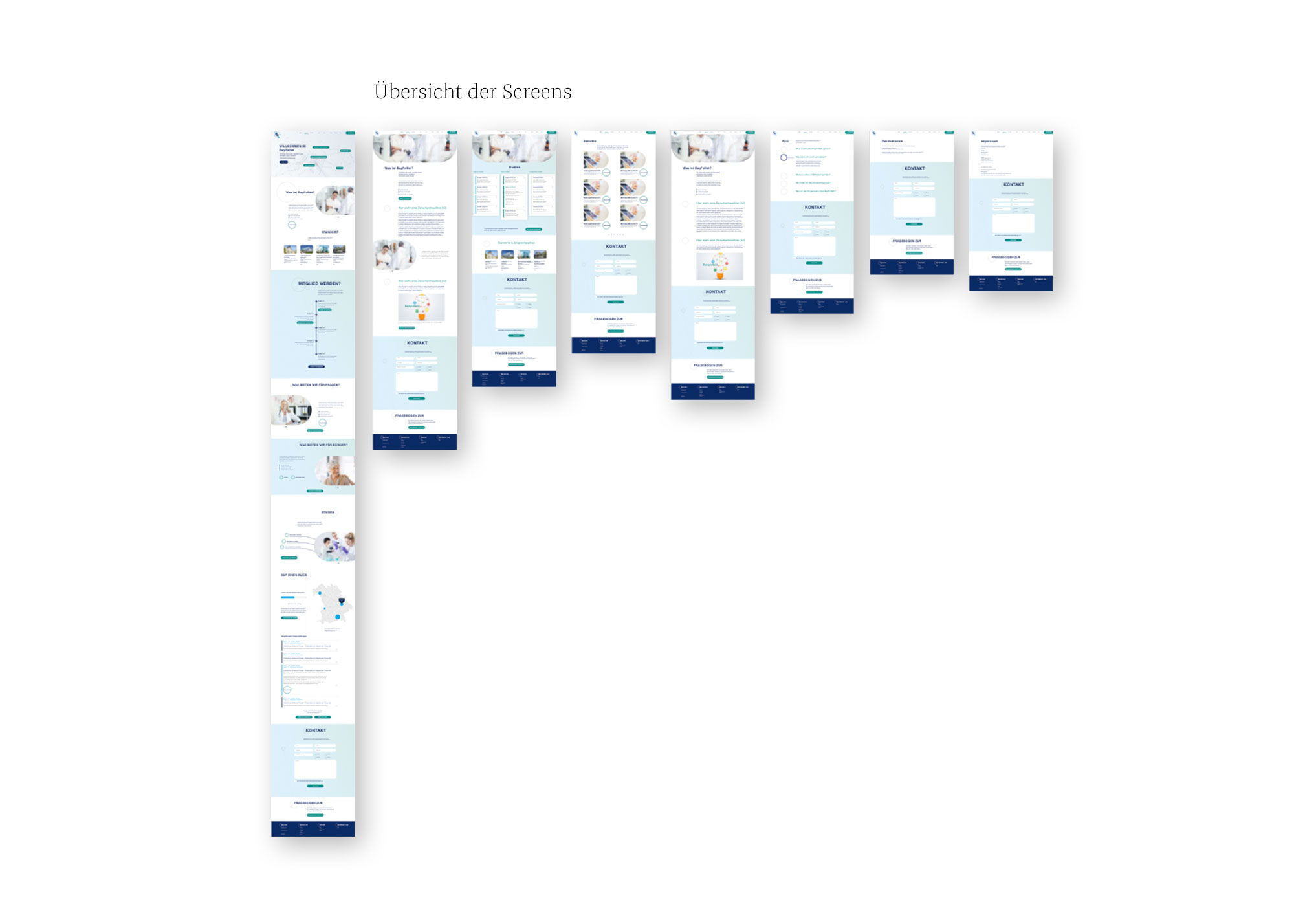 Webdesign BayFoNet