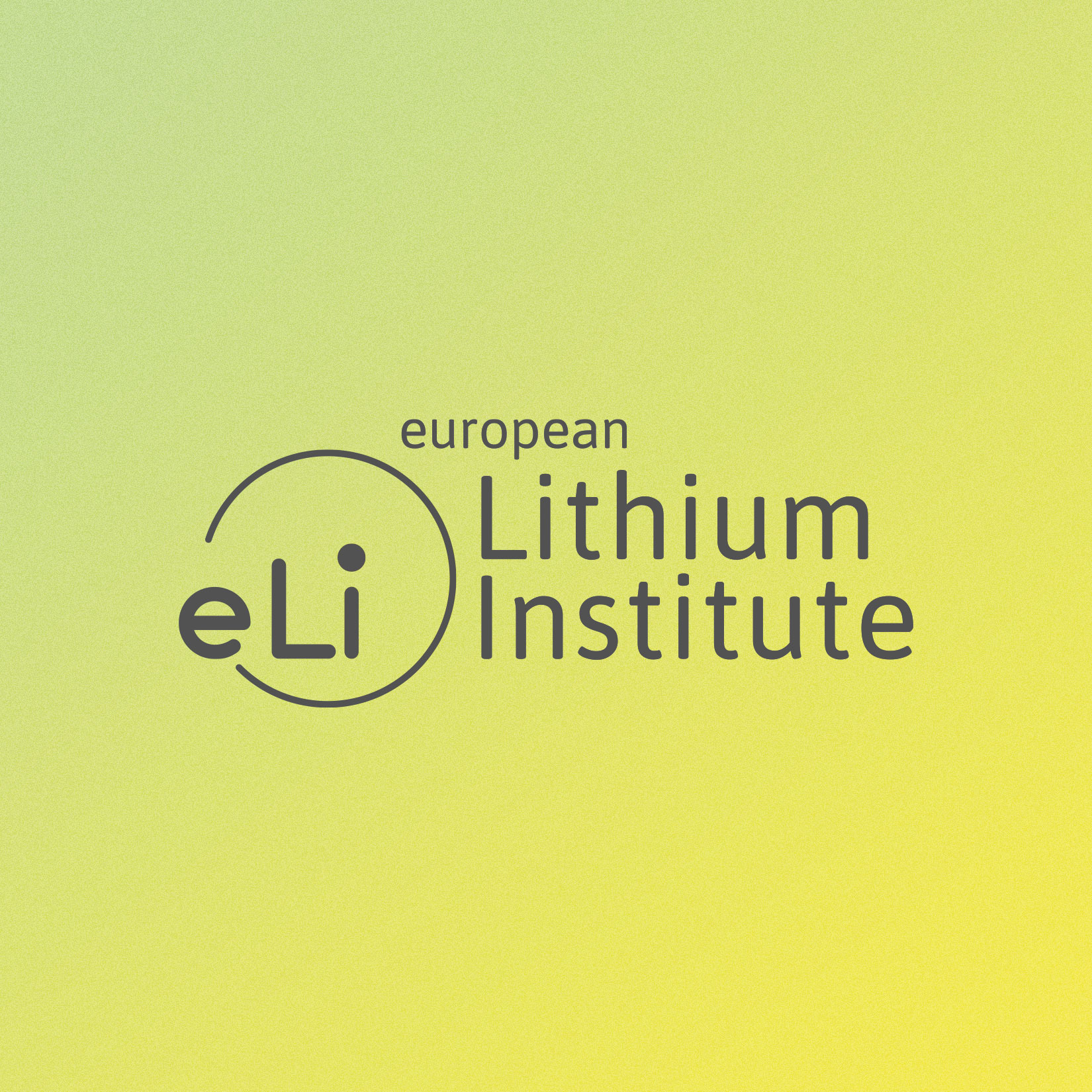 Markengestaltung European Lithium Institute