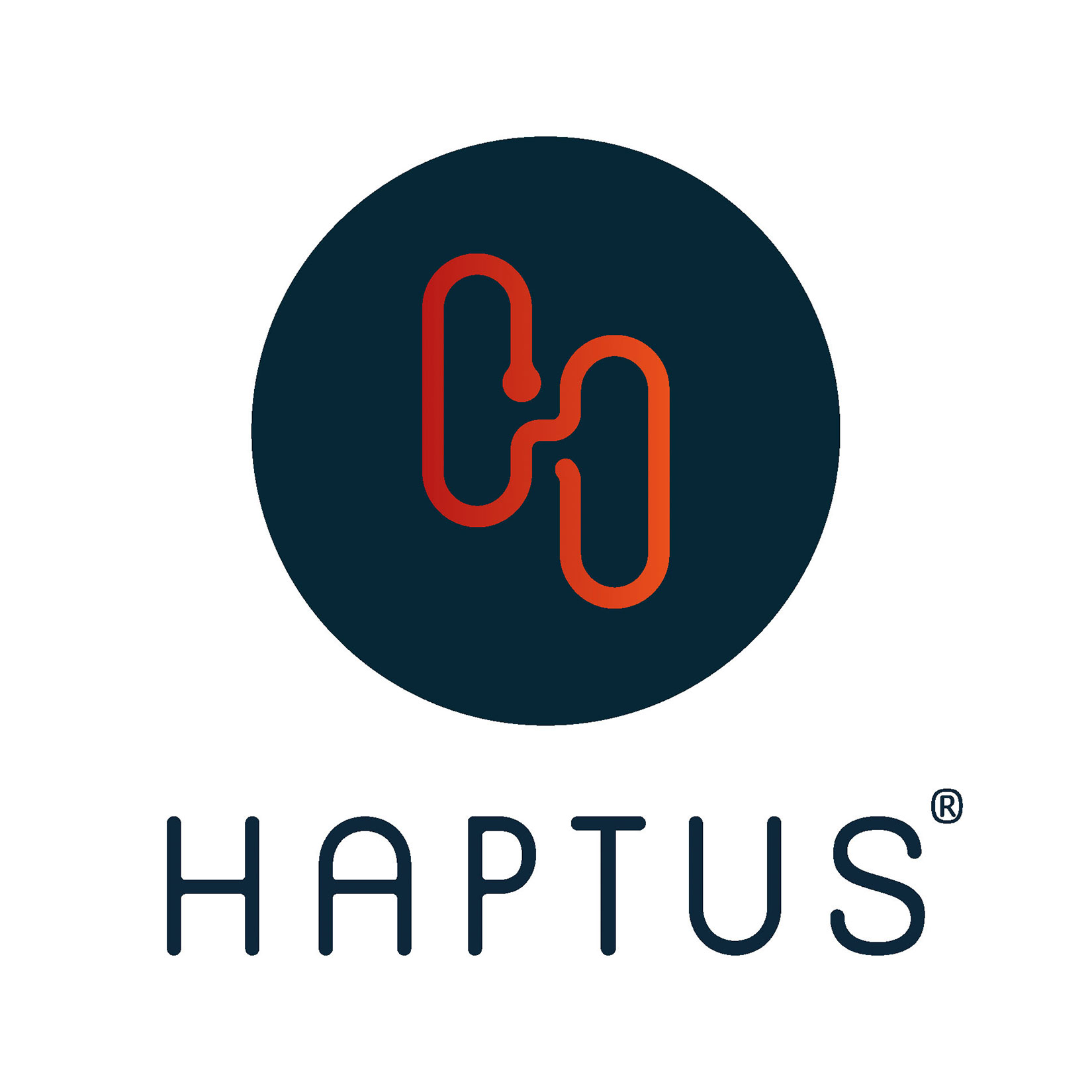 Corporate Design Haptus