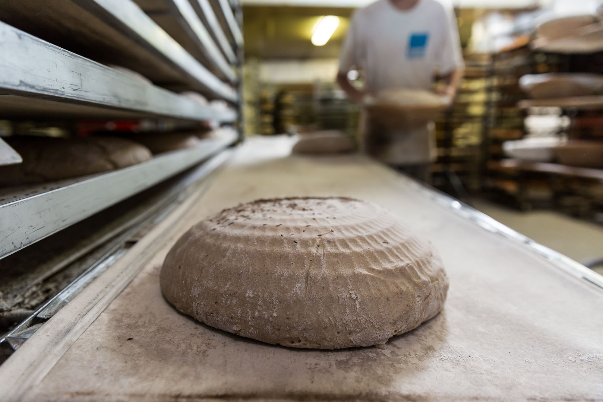 Brotbroschüre Bäckerei Schiffer