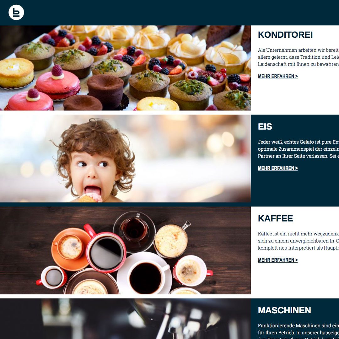 Webdesign BELZ