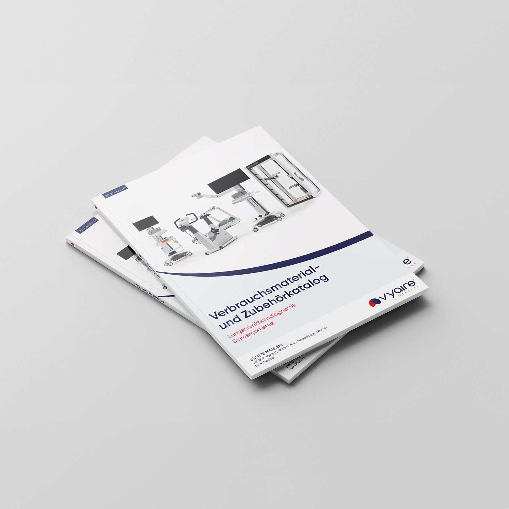 Portfolio Vyaire Katalogerstellung
