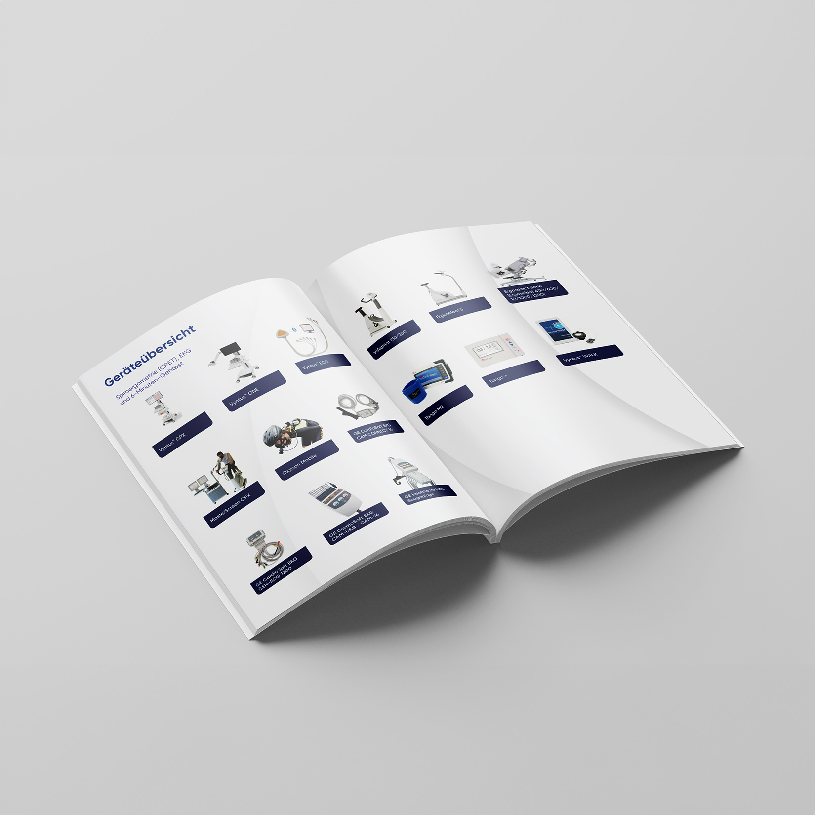Portfolio Vyaire Katalogerstellung
