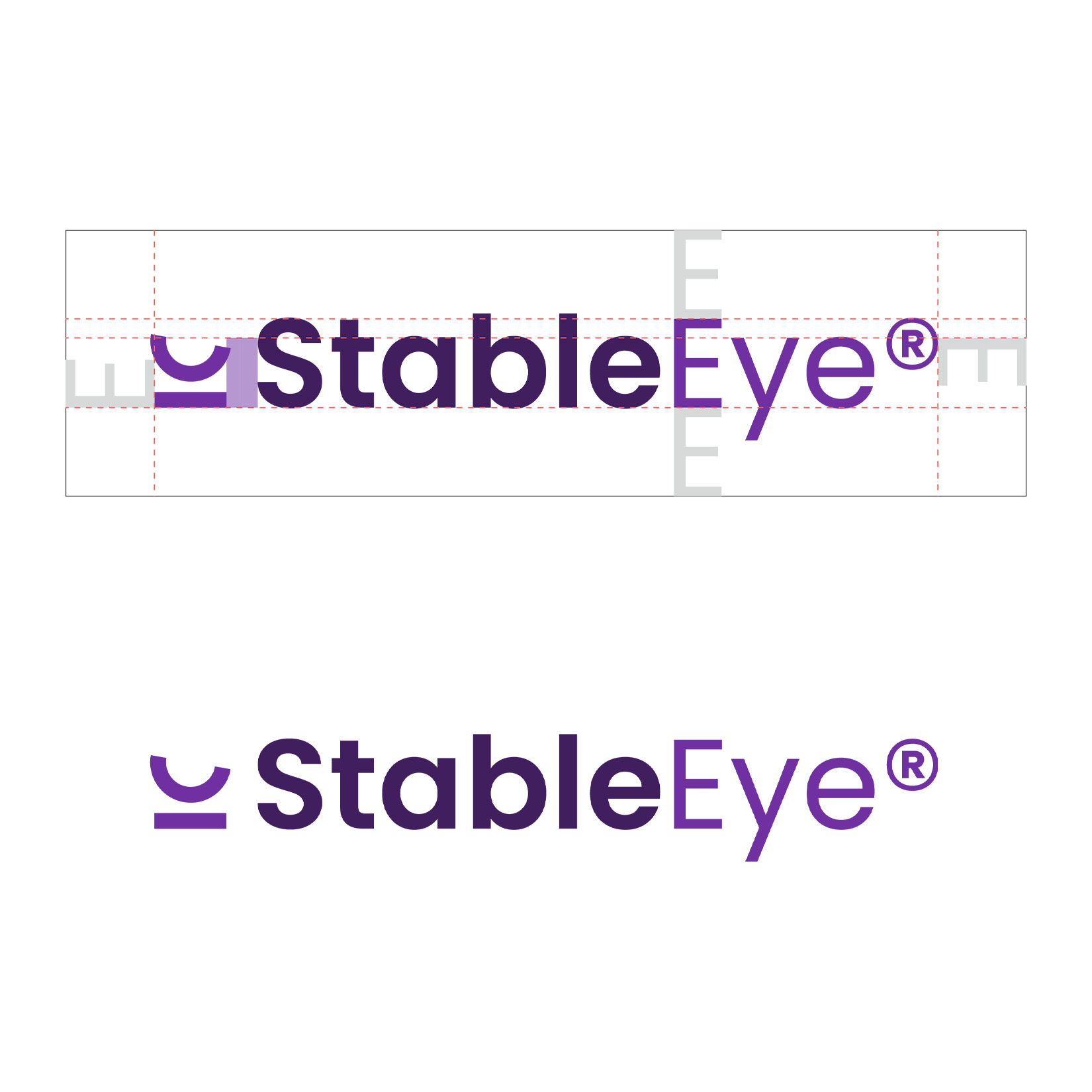 Ansicht des StableEye Logos mit Markenfreiraum