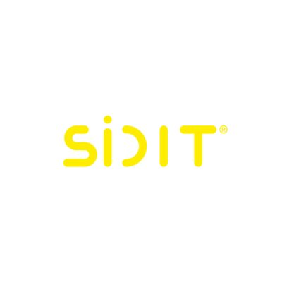 Logogestaltung – SiDIT